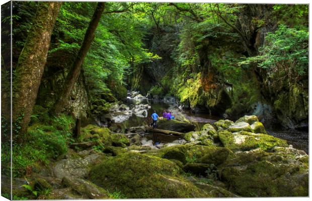 The Fairy Glen Canvas Print by Philip Brown