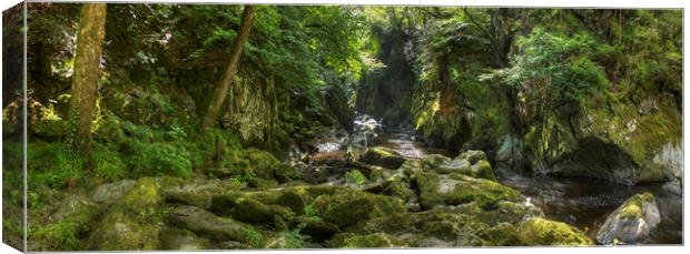 The Fairy Glen - Panorama Canvas Print by Philip Brown