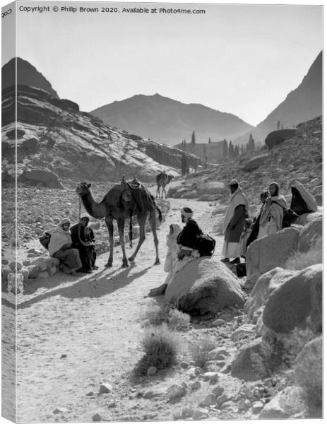 100 Year old Egyptian Photo - Bedouins in Desert. Canvas Print by Philip Brown