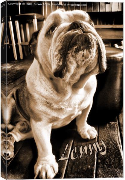 Lenny the Bulldog sitting in a Pub, Sepia Version Canvas Print by Philip Brown