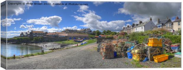 Craster Harbour in Northumberland. Panorama Canvas Print by Philip Brown