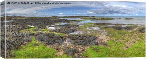 Coastal Colours near Bamburgh in Northumberland, Panorama Canvas Print by Philip Brown