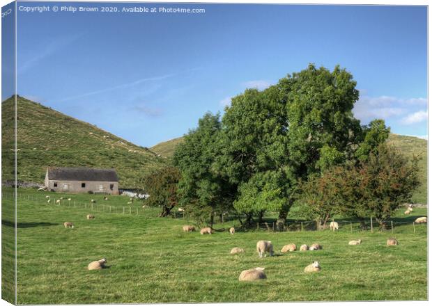 A Lush English Meadow with grazing Sheep Canvas Print by Philip Brown