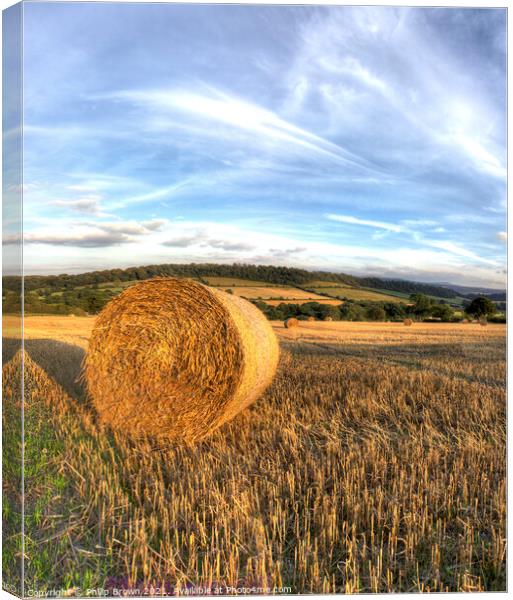 Bail of Hay in Field, Aston Eyre Canvas Print by Philip Brown