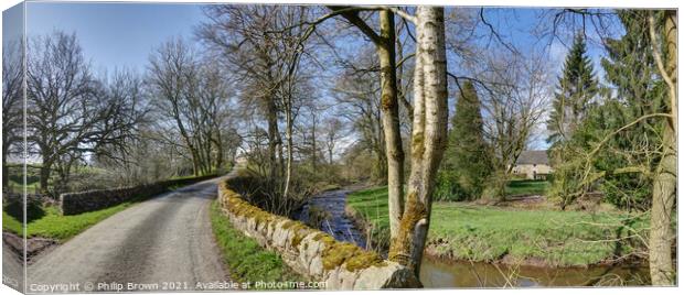 River Hamps over an Old Wall in Staffordshire,  Canvas Print by Philip Brown