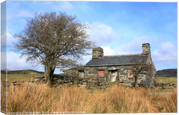 Derelict Cottage, Wales Canvas Print by Philip Brown