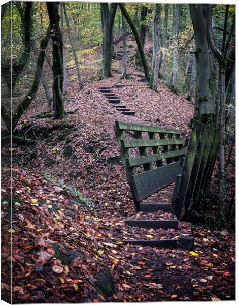 Autumn Stairway Canvas Print by David Brookens