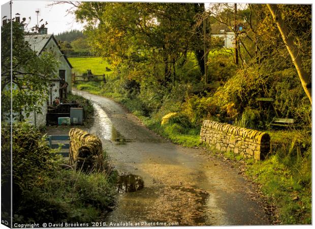 Glenashdale Cottages Canvas Print by David Brookens