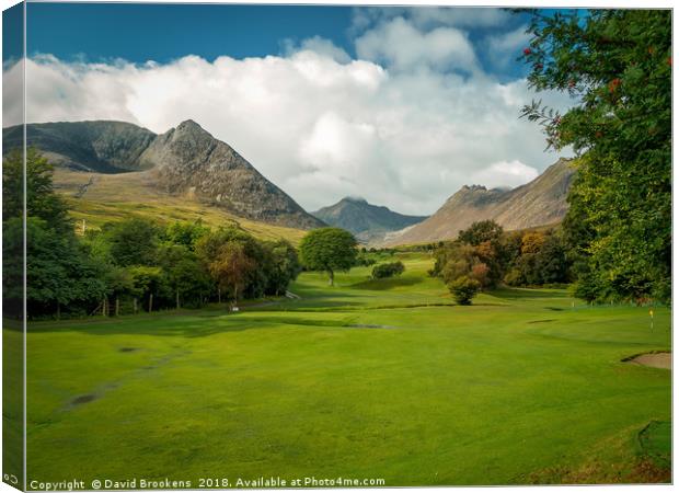Glen Sannox from the Golfy Canvas Print by David Brookens