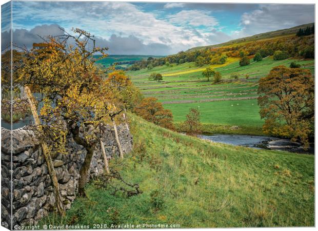 Autumn Afternoon in Wharfedale Canvas Print by David Brookens