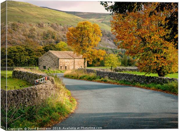 A Barn in Langstrothdale. Canvas Print by David Brookens