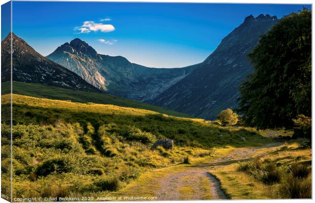 Evening Sun in Glen Sannox Canvas Print by David Brookens