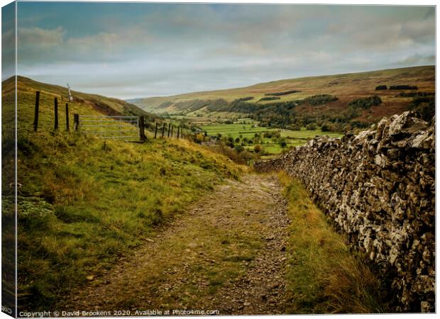 Buckden in Wharfedale Canvas Print by David Brookens