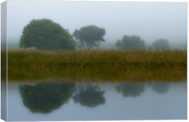 Tree Reflection in Water Canvas Print by Duncan Loraine