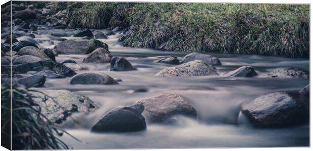 Running Water in The Cairngorms Canvas Print by Duncan Loraine