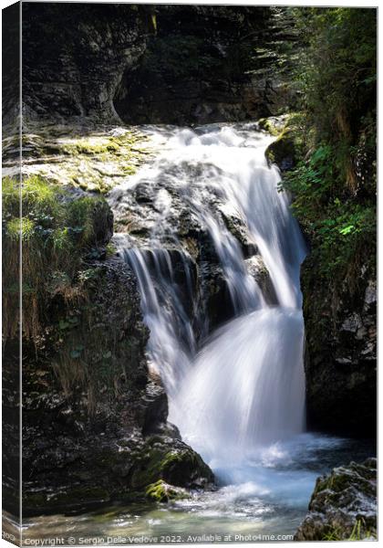 waterfalls of a river in the wood Canvas Print by Sergio Delle Vedove