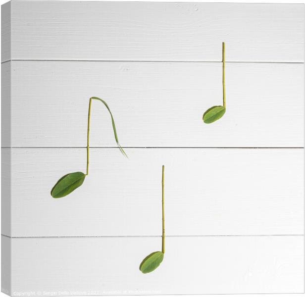 music of nature  Canvas Print by Sergio Delle Vedove