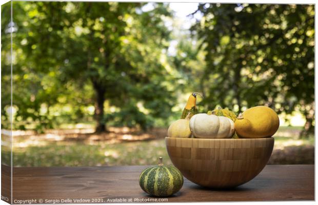 some colorful pumpkins  Canvas Print by Sergio Delle Vedove