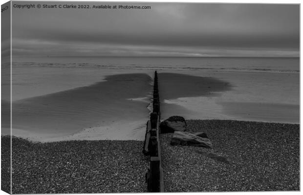 Groyne Canvas Print by Stuart C Clarke