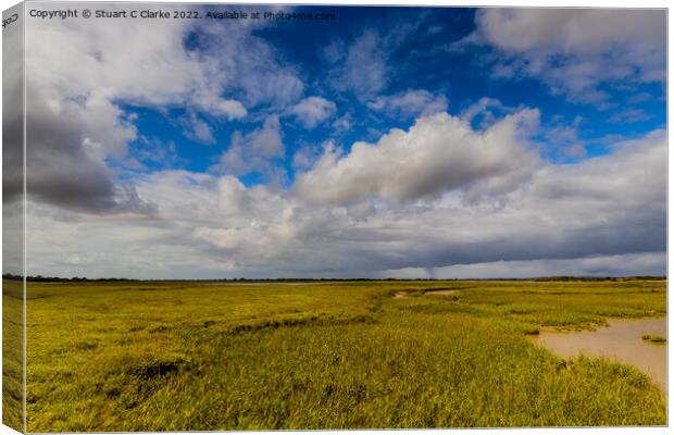 Stormy Pagham Canvas Print by Stuart C Clarke