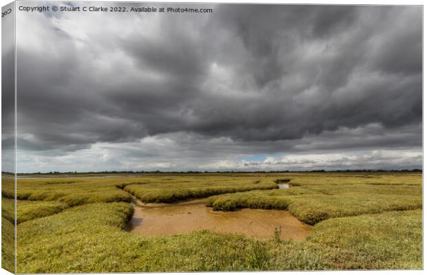 Stormy Pagham Canvas Print by Stuart C Clarke