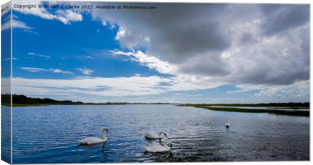 Pagham swans Canvas Print by Stuart C Clarke