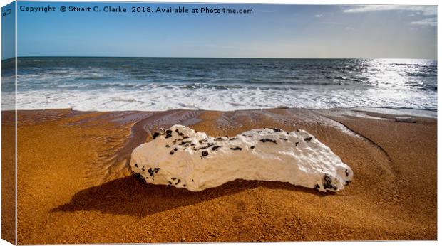 Rocky beach Canvas Print by Stuart C Clarke