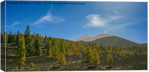 Mount Teide, Tenerife  Canvas Print by Stuart C Clarke