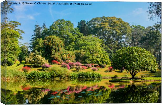 Botanic Gardens Canvas Print by Stuart C Clarke