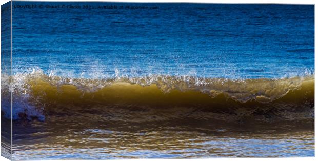 Crashing wave Canvas Print by Stuart C Clarke