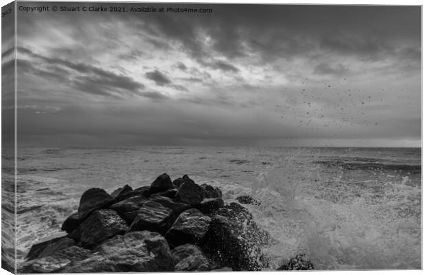 Sea defences Canvas Print by Stuart C Clarke