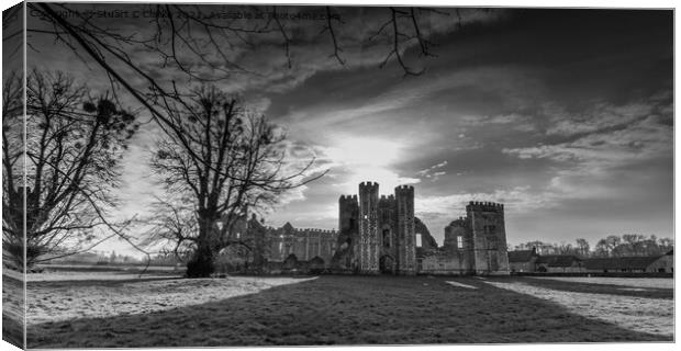 Cowdray House ruins Canvas Print by Stuart C Clarke