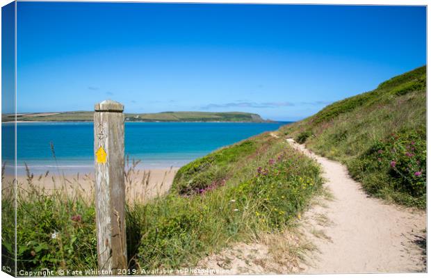 The Path to the Beach Canvas Print by Kate Whiston