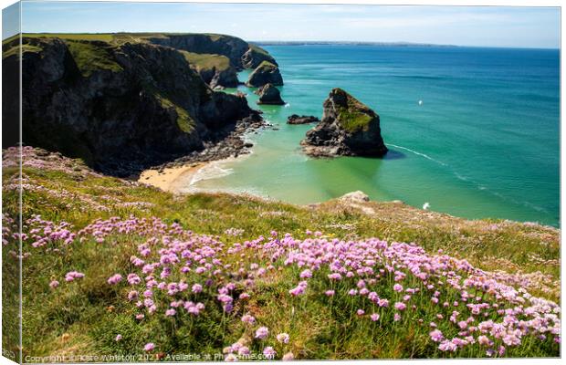 Pinks above Bedruthan Steps Canvas Print by Kate Whiston