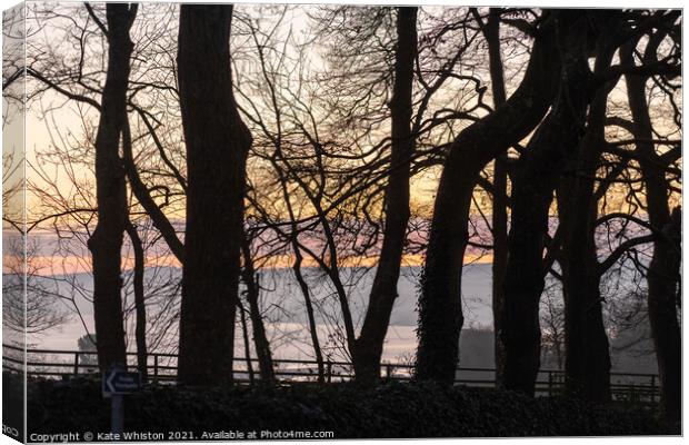 Sunrise through the trees Canvas Print by Kate Whiston