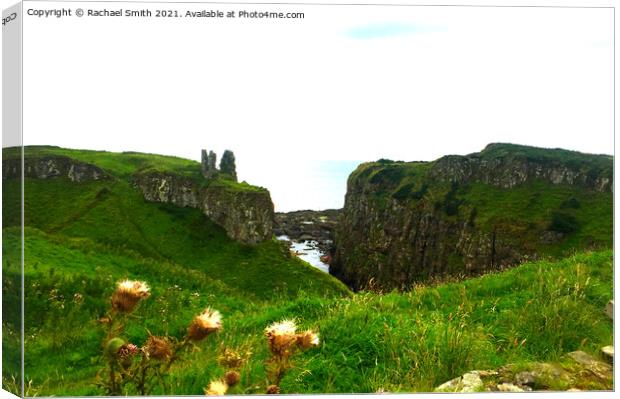 Irish landscape Canvas Print by Rachael Smith