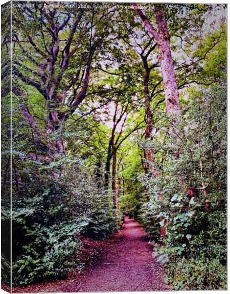 Colourful Etherow woods  Canvas Print by Rachael Smith