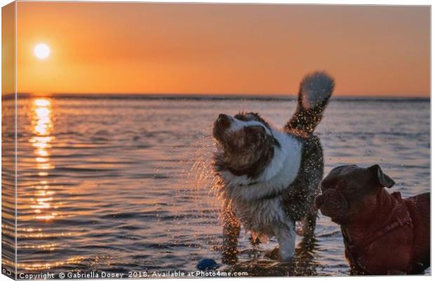 Sunset Pups Canvas Print by Gabriella Dooey