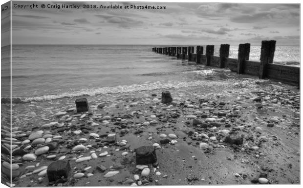 Brid Breakers Canvas Print by Craig Hartley