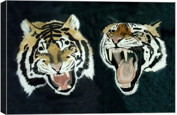 TWO SIBERIAN TIGERS Canvas Print by Dave Hellyer