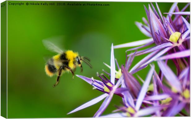Beauty and the Bee Canvas Print by NKH10 Photography