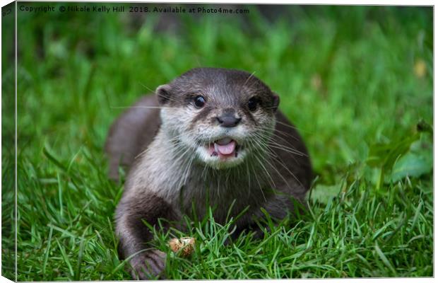 Cute otter laying on the grass Canvas Print by NKH10 Photography