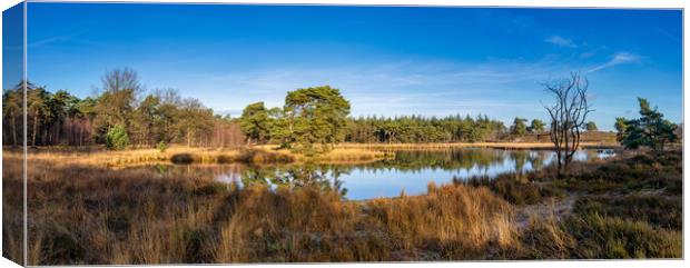 View over the Zevenboomsven lake in the Afferdense Duinen Canvas Print by John Stuij