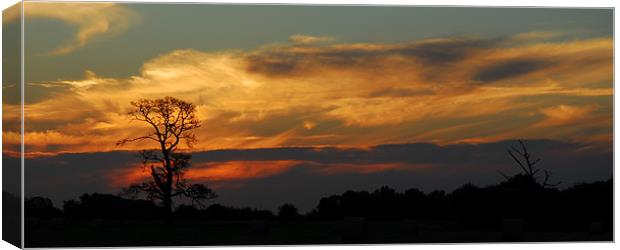 Australian Outback Sunset Canvas Print by Lisa Shotton