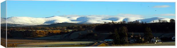 Snowy Cairngorms Panorama Canvas Print by Lisa Shotton