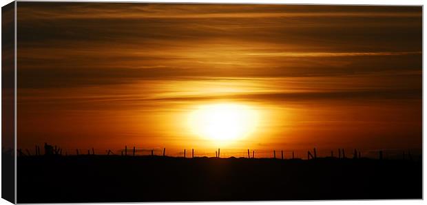 Sunset silhouette Canvas Print by Lisa Shotton