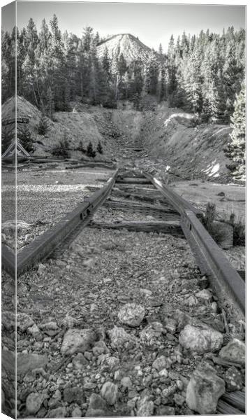 End of the line Canvas Print by Wade Eppler