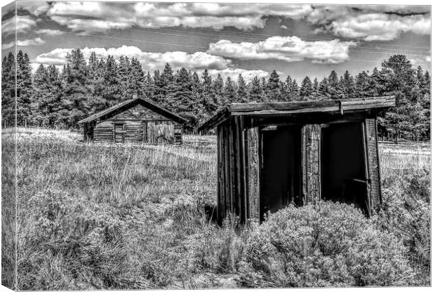 Up Top Colorado Canvas Print by Wade Eppler