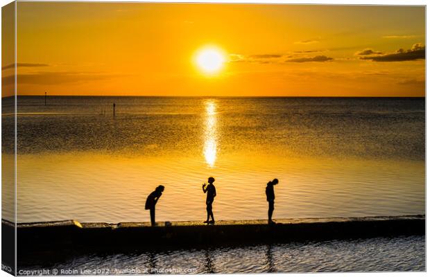 Sunset silhouettes Canvas Print by Robin Lee