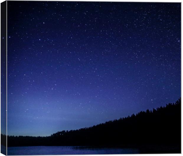 Night sky Finland Canvas Print by Alan Humphreys